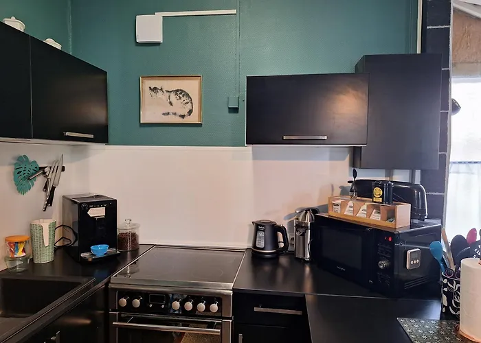 公寓 Typique Centre Avec Parking Gratuit *