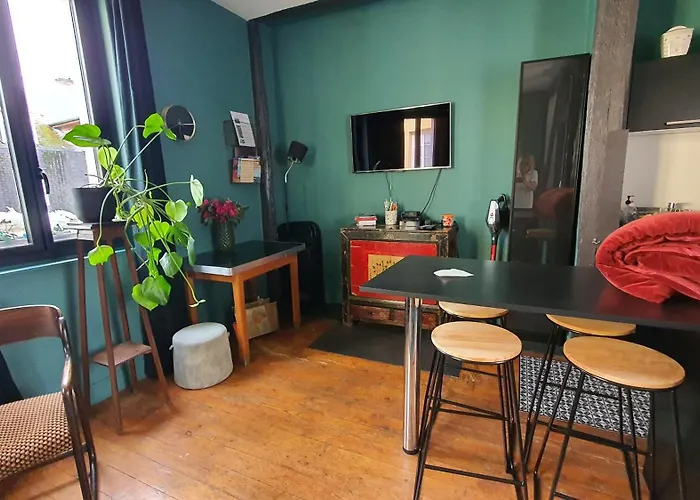 Appartamento Typique Centre Avec Parking Gratuit